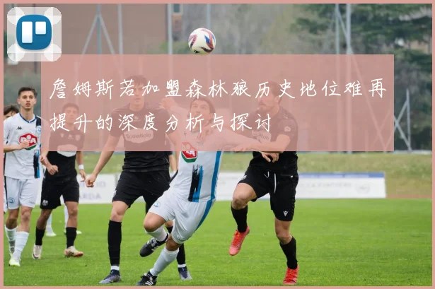 詹姆斯若加盟森林狼历史地位难再提升的深度分析与探讨